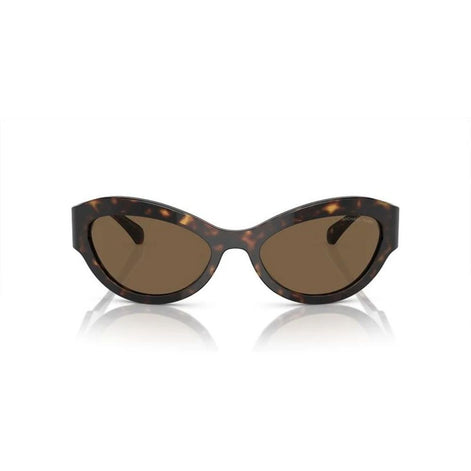 Michael Kors Brown Acetate Sunglasses