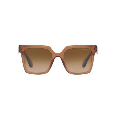 Giorgio Armani Brown Acetate Sunglasses