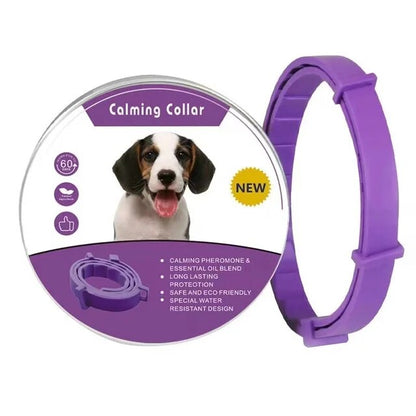 Calming Natural Lavender Oil Pet Collar