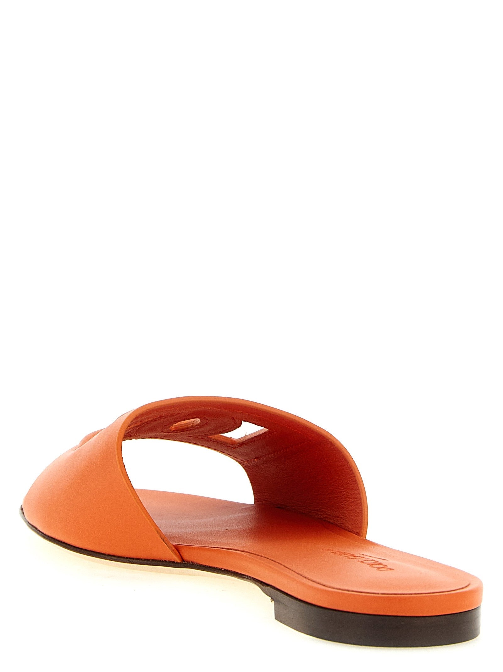 'Bianca' Slide