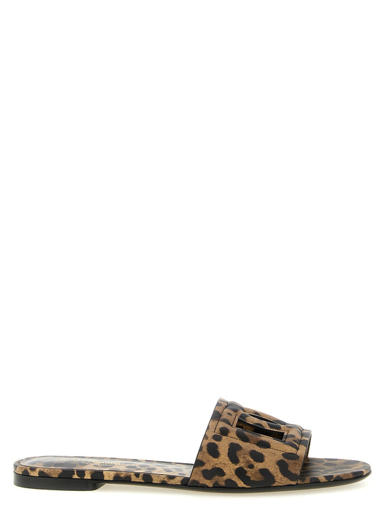 'Bianca' slides