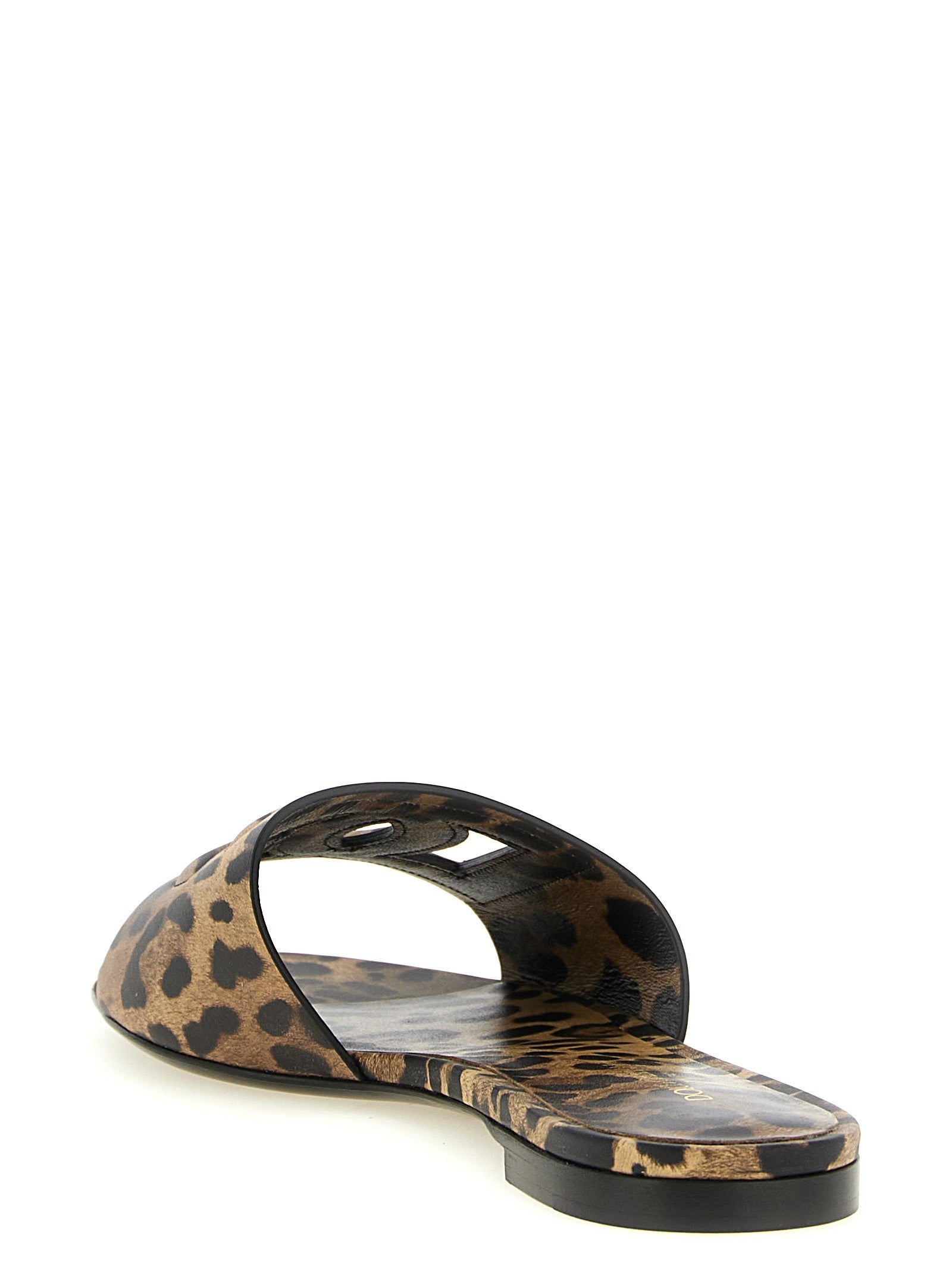 'Bianca' slides