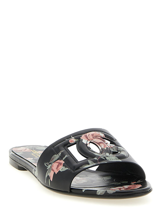 'Bianca' slides