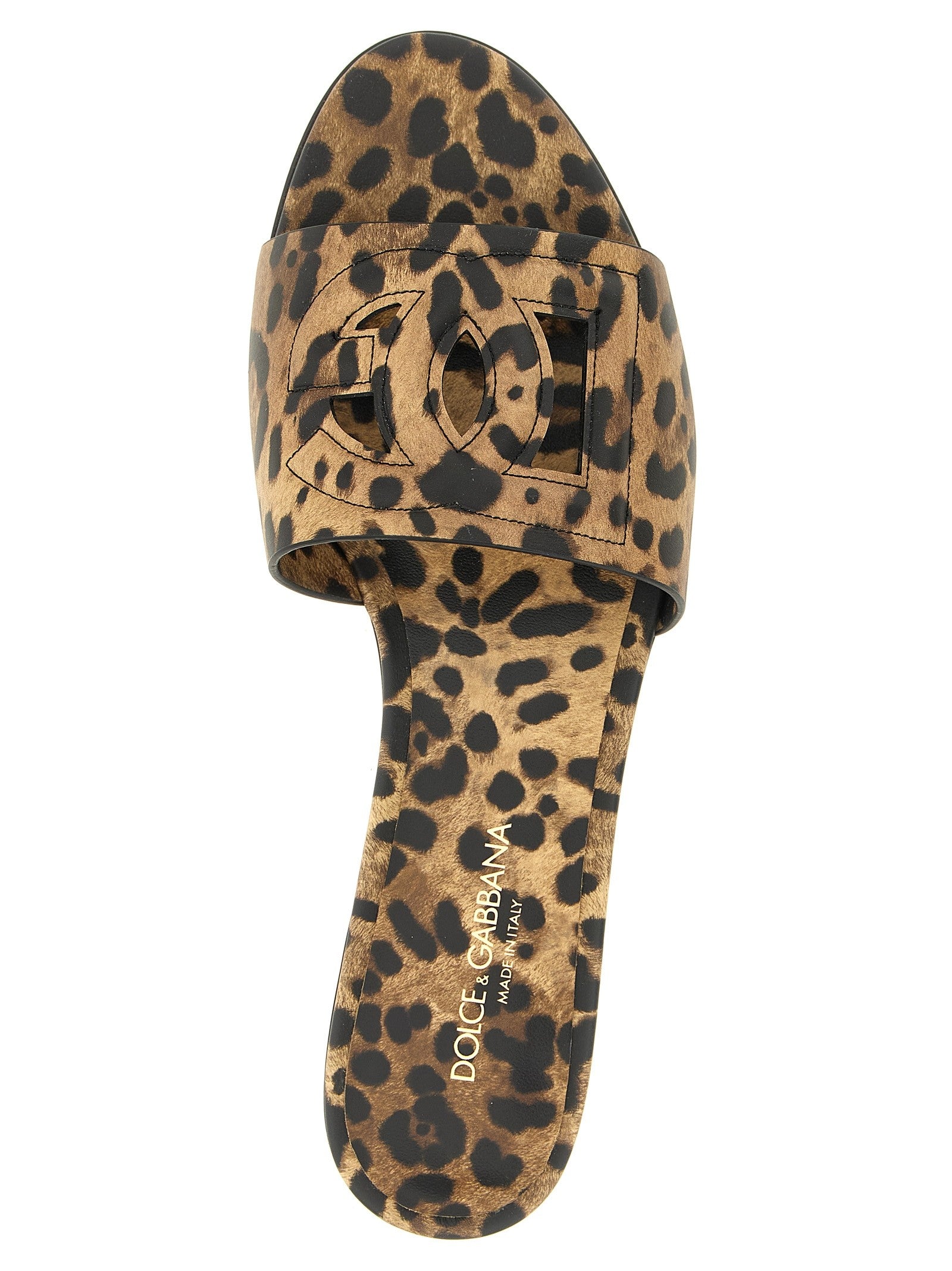 'Bianca' slides