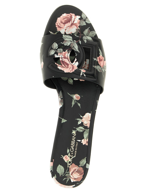 'Bianca' slides
