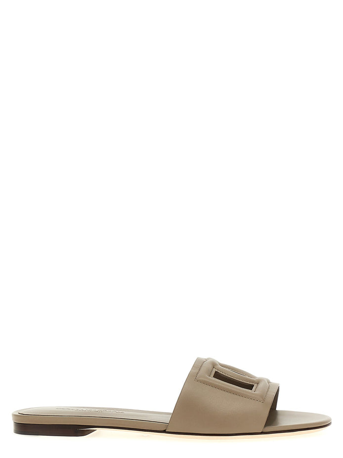 'DG' slides