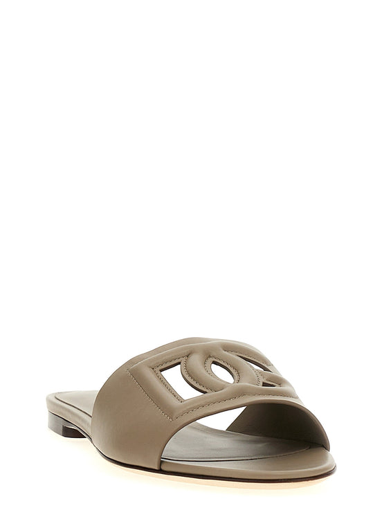 'DG' slides