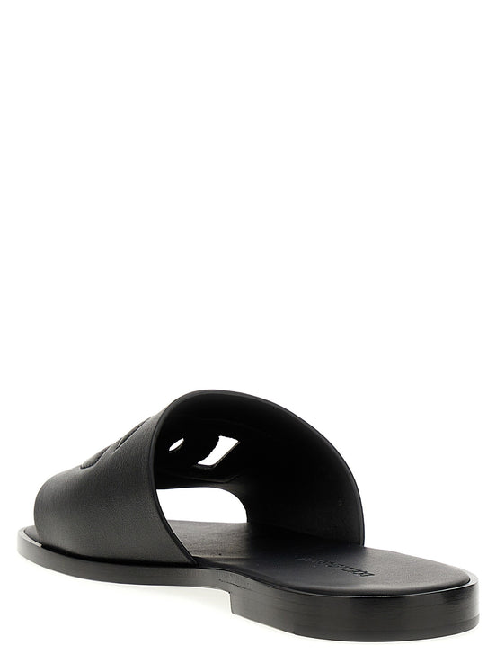 Logo slides