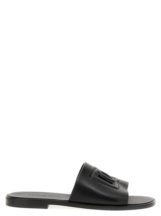 Logo slides
