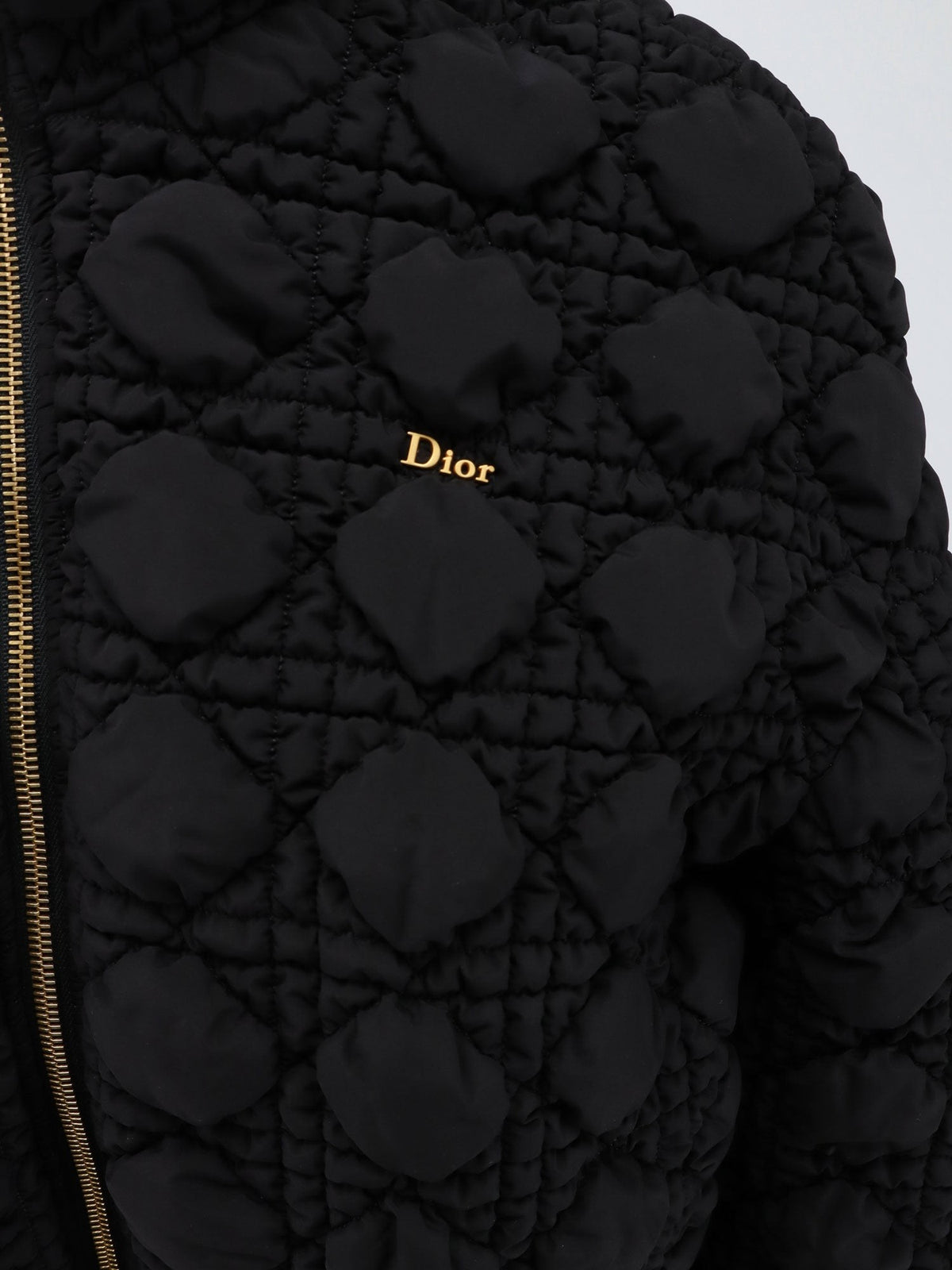 Dior Macrocannage jacket with zip