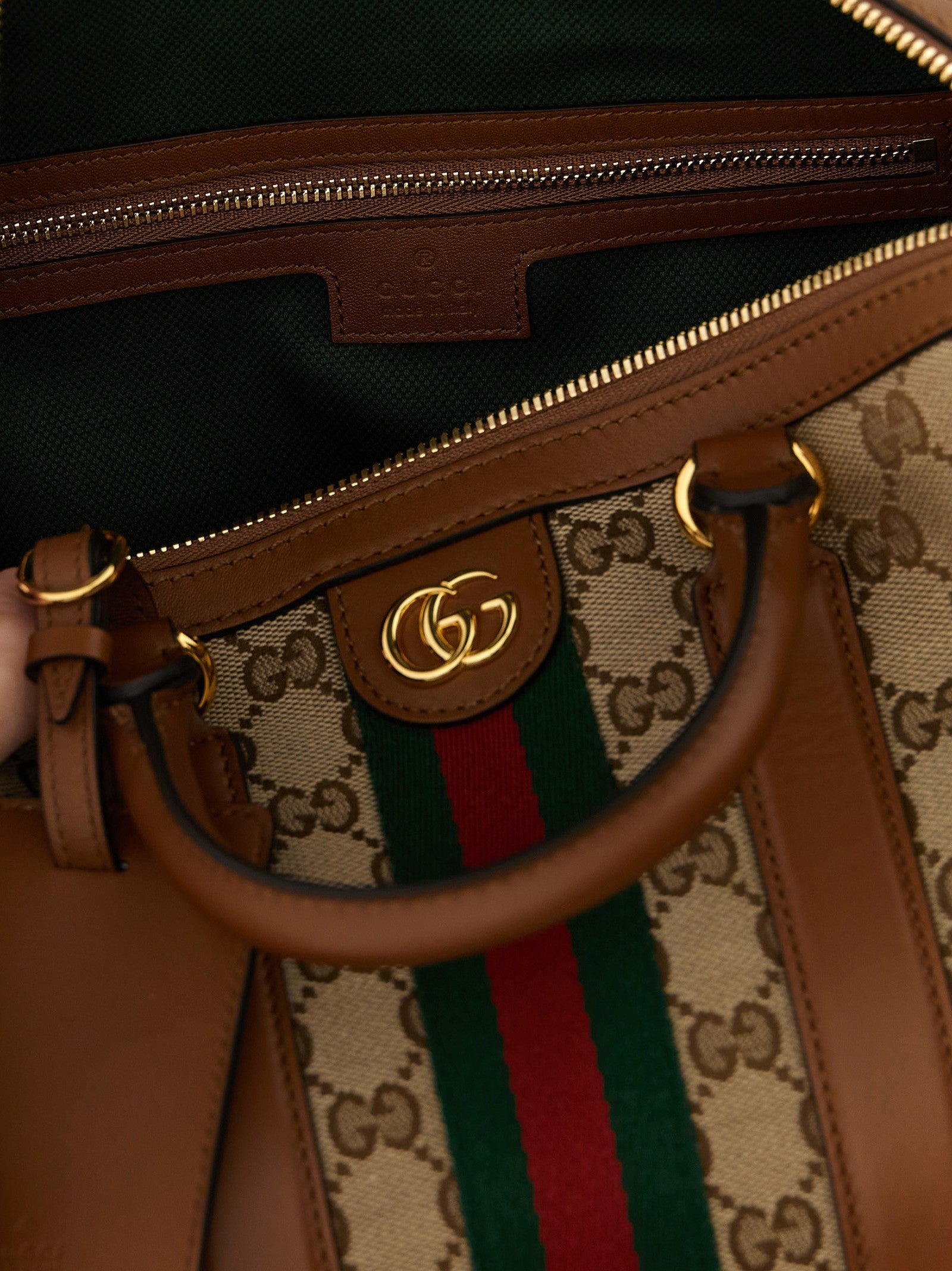 Medium 'Ophidia' top case