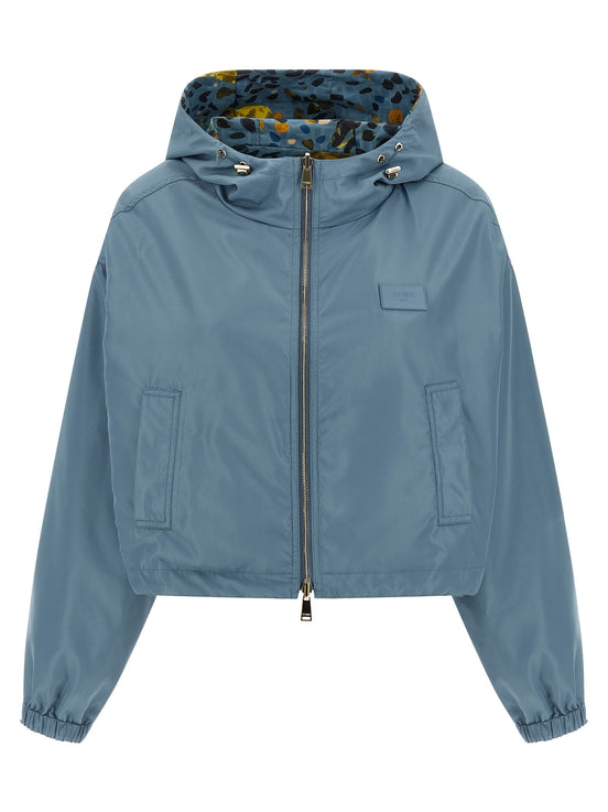 Reversible windbreaker