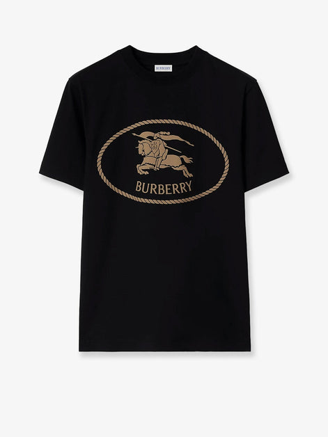 Seth organic cotton blend t-shirt
